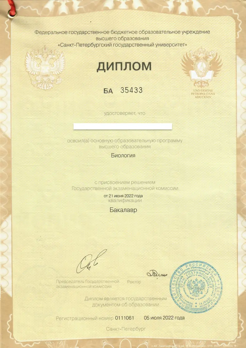 Образец диплома из России