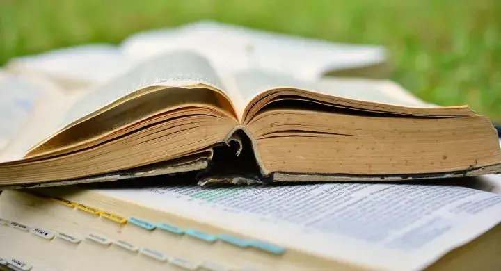 Росреестр бесплатно исправит более 1,2 млн реестровых ошибок