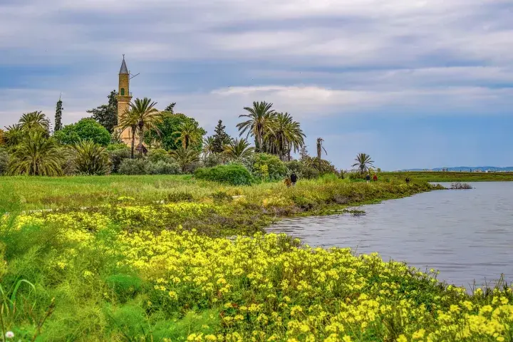 Реестр бенефициаров Кипра продлил сроки подачи данных о владельцах компаний