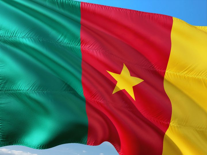 Камерун становится «удобным флагом» для крупных рыболовецких компаний