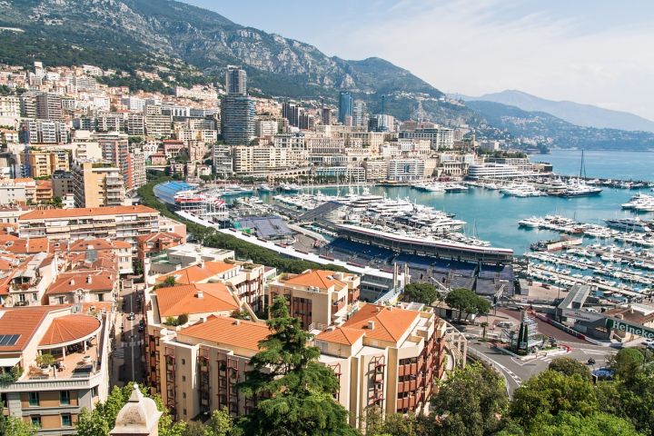 Монако начинает раскрывать базовую информацию о компаниях в режиме онлайн