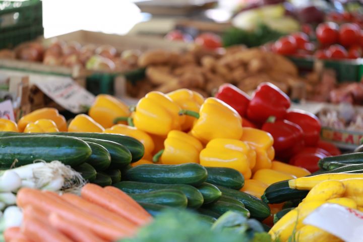 Россельхознадзор подозревает страны ЕС в возе санкционных овощей и фруктов в РФ