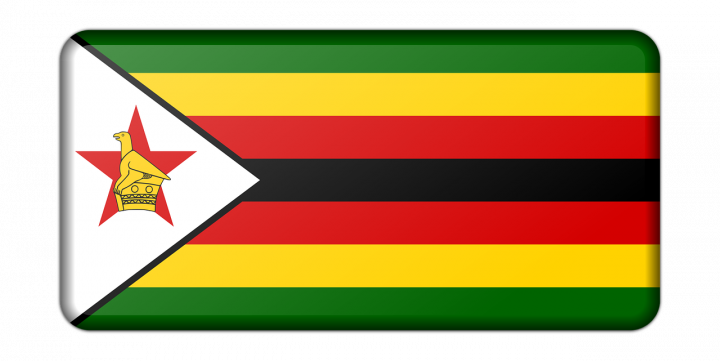 Зимбабве создает электронный торговый реестр
