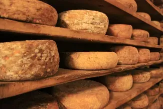 Россия ввела продуктовые санкции