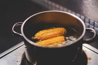 Россия запретит импорт сои и кукурузы