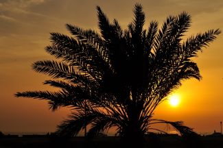 Конвенция об апостиле официально вступила в силу для Саудовской Аравии