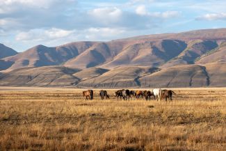 Заверение документов апостилем стало доступно в МФЦ Республики Тыва